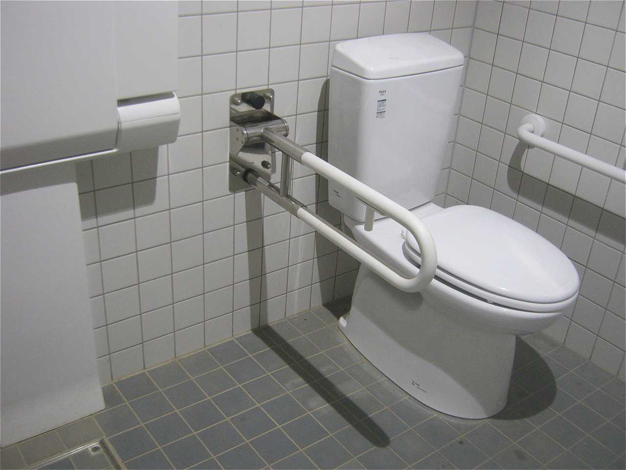 【6-1】身障者用トイレ内部 斑鳩寺-6-1.jpg